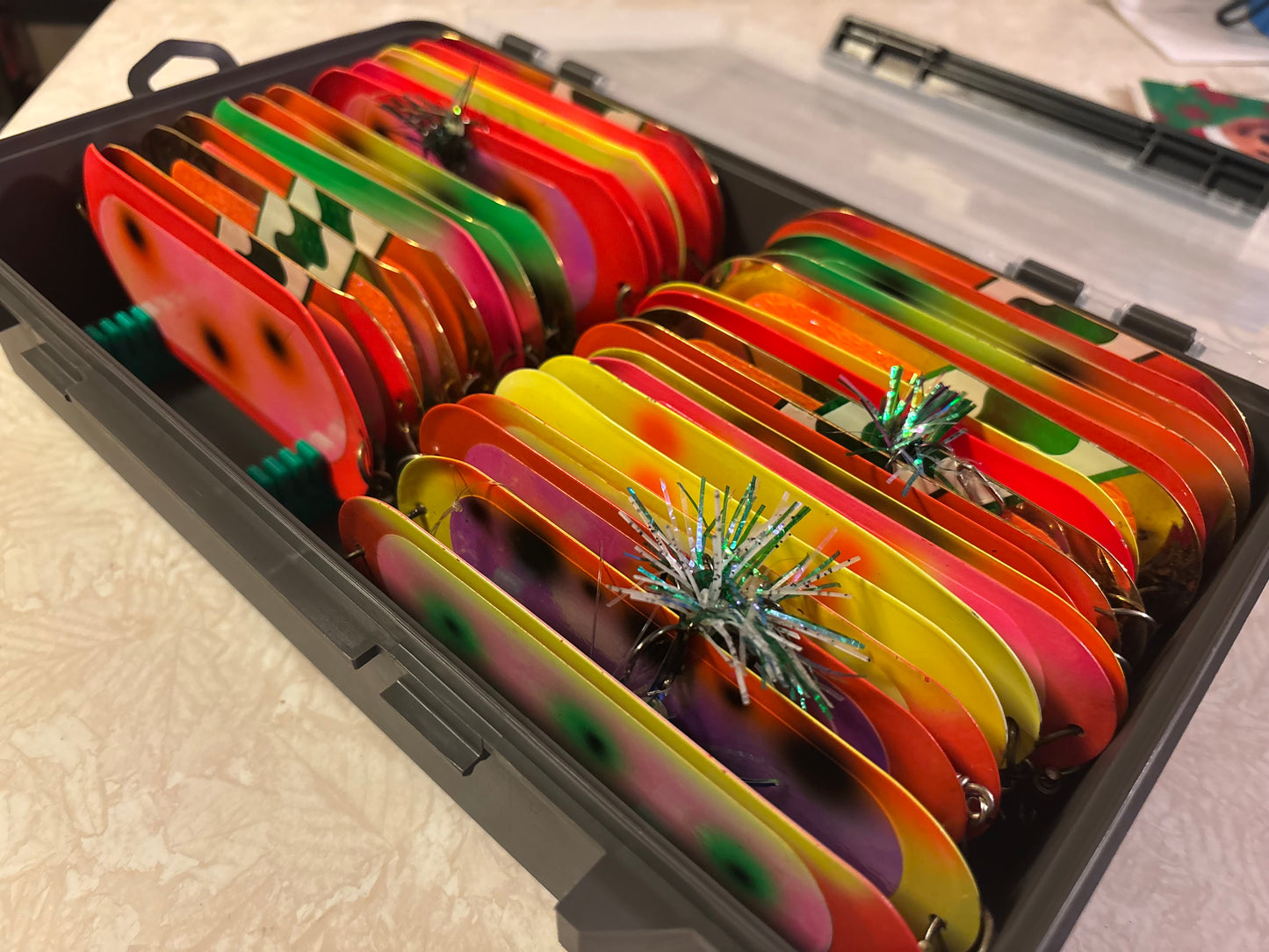 Coho Storage Boxes
